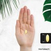 Horbaach Royal Jelly Capsules – 1500mg High Strength Softgels, 120