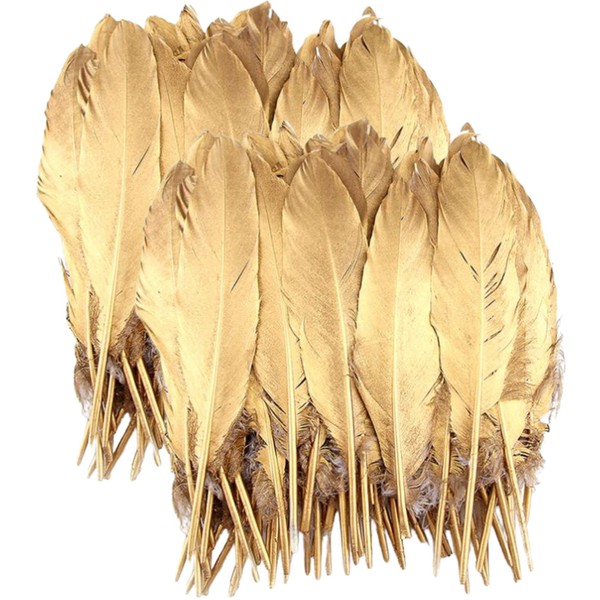 cobalt planet Set of 100 Gold Feathers Gold Feathers Decorative Feathers Craft Materials DIY Decorative Accessories (Gold) (Gold) (Set of 100)