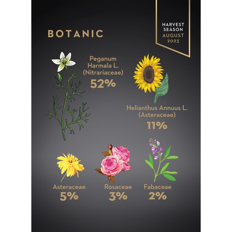 Garisar Premium Single Location Wild Rue Honey | Pure Natural