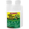Compare-N-Save 7.9% Bifenthrin Concentrate for Insect Control, 8-ounce