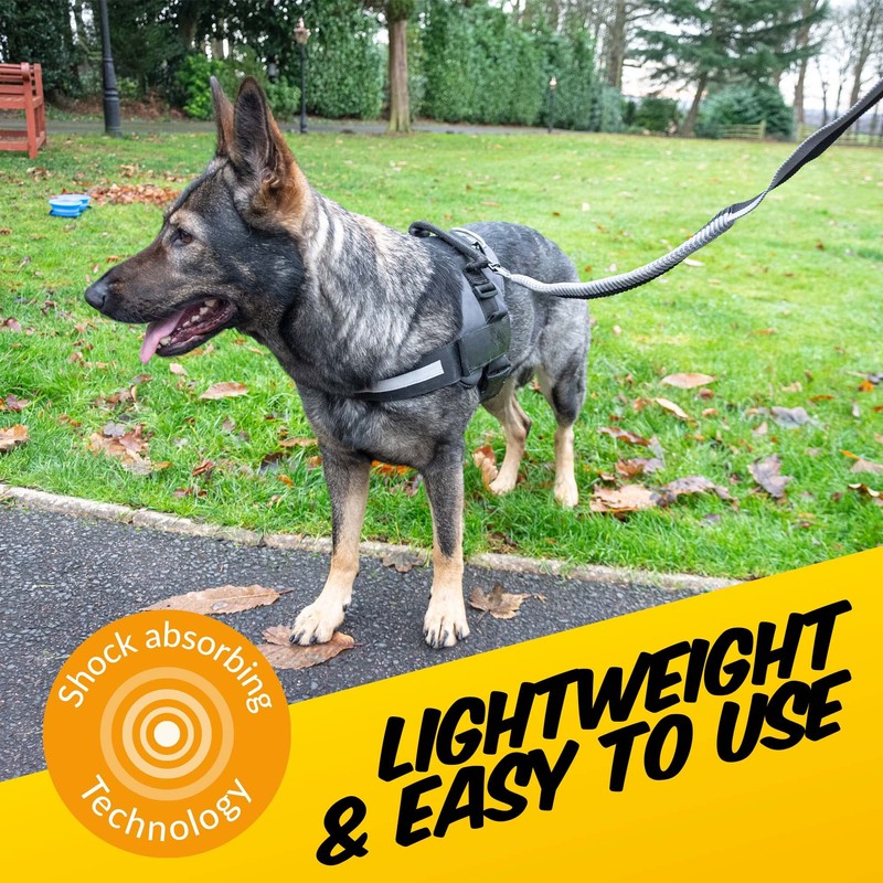 PawPride 6in1 Multi-Way 2.5m Dog Lead with Shock Absorbing Bungee