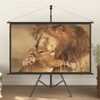 Matalde Projection Screen with Tripod 60" 16:9