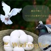 10 Pcs Fake Eggs, Bird Toys, Small Birds, Solid Fake