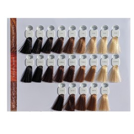 HAIR HAUS Super Brilliant Colour Hair Colour 3 x 100 ml + Special Colouring Brush (4-00nn)