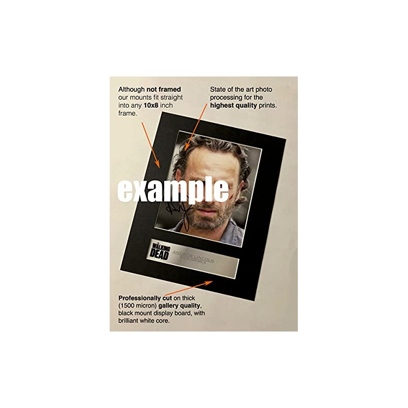 Eminem Signed Mounted Photo Display
