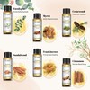 EUQEE 10ml Woody Essential Oils Set - Pure & Nature