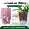 Happy Plants Orchid Pot D 12.5 cm Flower Pot with