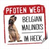 siviwonder Belgian Malinois Paws Way Small Car Sticker Dog Sticker