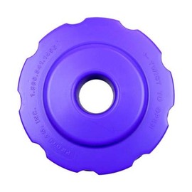 ProTeam Lid, Twist Cap Purple #PT-106073