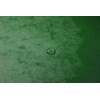 Exacompta 541203E premium folder stapled. Made from extra strong Colorspan