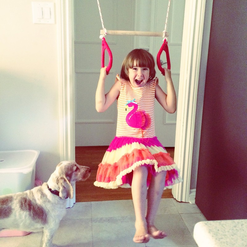 DreamGYM Trapeze bar and Gymnastics Rings Combo RED