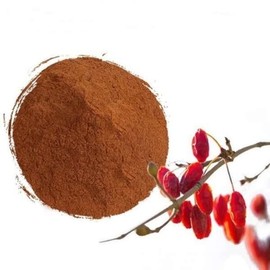 산수유추출분말 100g_24860215 Cornus Officinalis Extract Powder 100g_24860215