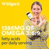 Vegan Omega 3 6 9 Capsules by Wellgard - High