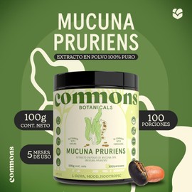 Hongos Adaptógenos - Frijol Mucuna - Extracto Puro en Polvo 100 gr - Suplemento Alimenticio Natural - Apoyo para el Estrés - 100% Orgánico