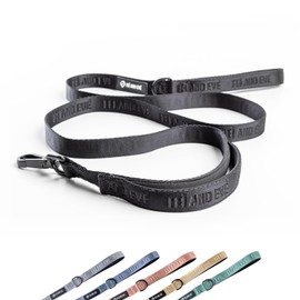 2025 New Edition, Fei and Eve Heavy Duty Dog Leash with Reinforced Swivel Hook, 2 Comfortable Padded Handles, Chew Proof, Suitable for Large, Medium and Small Breed Dogs - 4FT - Black