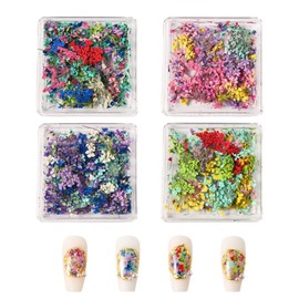 Dry Flowers Nail Parts Set of 4 Nail Pressed Flowers Nail Art Dried Flowers Natural Pressed Flowers Ultra Thin Gel Nail Resin Nail Art Deco Parts DIY Material (Set of 4)