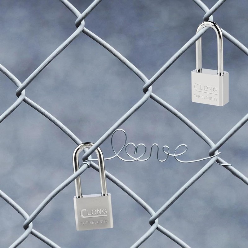 2 Pcs Stainless Steel Padlock Security Lock with Key Small