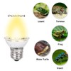 YCSSSD 50W Uva Uvb Reptile Light Bulb Habitat Basking Heat