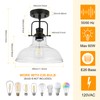 WILON Semi Flush Mount Ceiling Light Fixture, Black Farmhouse Light