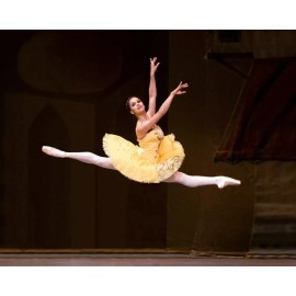BEAUTIFUL BALLERINA MISTY COPELAND 11x17 Photo