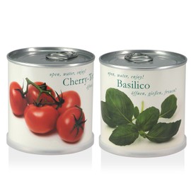 MacFlowers Flowers in a Tin Gift Set Cherry Tomato Basilico
