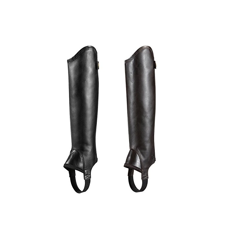 Ariat Concord Half Chaps Black X-Small Tall