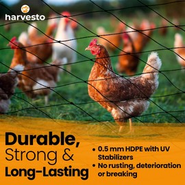 Harvesto Heavy Duty Bird Netting for Chicken Coops & Runs | Tree & Garden Netting Mesh 1-1/2" | Keep Hawks, Birds & Predators Away | Bird Netting for Blueberry Bushes, Vegetables & Fruit (25' x 50’)