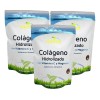 Colágeno Hidrolizado Puro Vitamina Magnesio 300 Grs Sabor