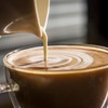 Coffee Creamer Singles Variety Pack - French Vanilla, Hazelnut, Caramel