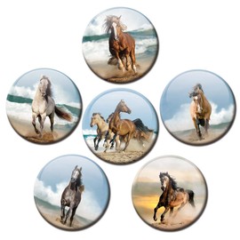 Fridge Magnets Horses Sea Set of 6 Horse Motif Decorative Gift Set Magnets Animals Funny for Children Horse Lovers Strong Large 50 mm Round