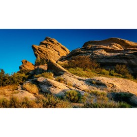 Reptile Terrarium Background Evening Light on Rocks Terrarium Background Reptile Tank Background Desert Rocky Bush Thorns Reptile Habitat Background Bearded Dragon Tank Aquarium Background 48x18in