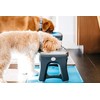 Dexas Pets Adjustable Height Double Pet Feeder, Light Gray