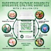 Purely Optimal Digestive Enzymes for Women and Men – Multi-Enzyme