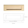 Polished Brass Letter Plate Front Door 256 x 76mm, 10