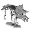 Metal Earth Triceratops Skeleton 3D Metal Model Kit Fascinations