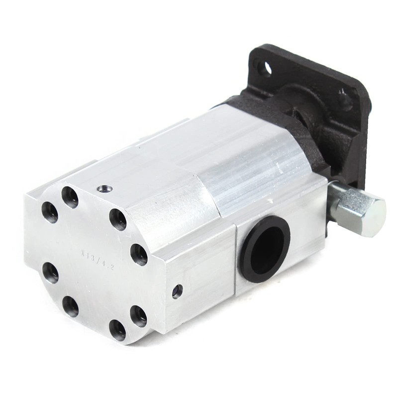 SHONFYVS Log Splitter Pump Gear Pump Wood Logsplitter for Wood