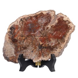 mookaitedecor 5-6.7” Natural Petrified Wood Slice Stone Specimen with Wooden Stand, Genuine Fossils Irregular Polished Raw Rough Stone Figurine for Home Office Decor Housewarming Gift