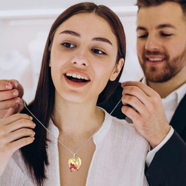 AENEAS Cardinal Heart Necklace Pendant Sterling Silver Cardinal Jewelry Red Bird Memorial Gifts for Her Birthday Christmas