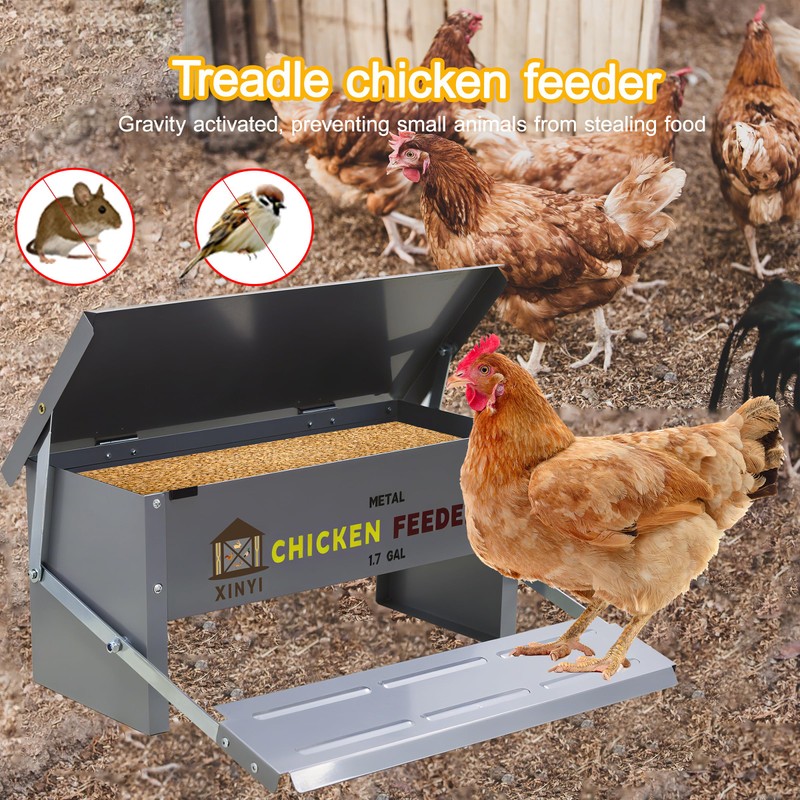 XINYI Chicken Treadle Feeder,12 Lbs Metal Treadle Feeder, No Waste