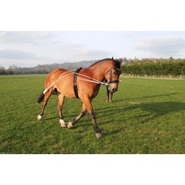 Cwell Equine NEW Horse Lunging Training Aid white one size fits all