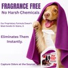 Capture Pet Stain & Odor Remover - Enzyme Pet Odor
