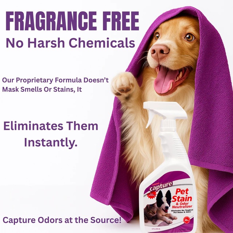 Capture Pet Stain & Odor Remover - Enzyme Pet Odor