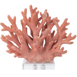Hjpzrui Coral Reef Decor Faux Coral Decor Resin Coral Home Decoration Coral Standing Décor Coral Sculpture with Acrylic Base Pink