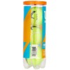 Wilson Profile All Court Tennis Ball - 4 Can Pack,