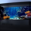 Dtekoj 30X18IN Blue Sea Floor Aquarium Background, Natural Underwater World