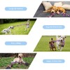 Juguetes para Perro Grande, Cuerda para Masticar Perros 5 Nudos