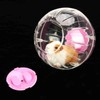 18.5cm New Fashion Plastic Small Pet Hamster Gerbil Toy Running