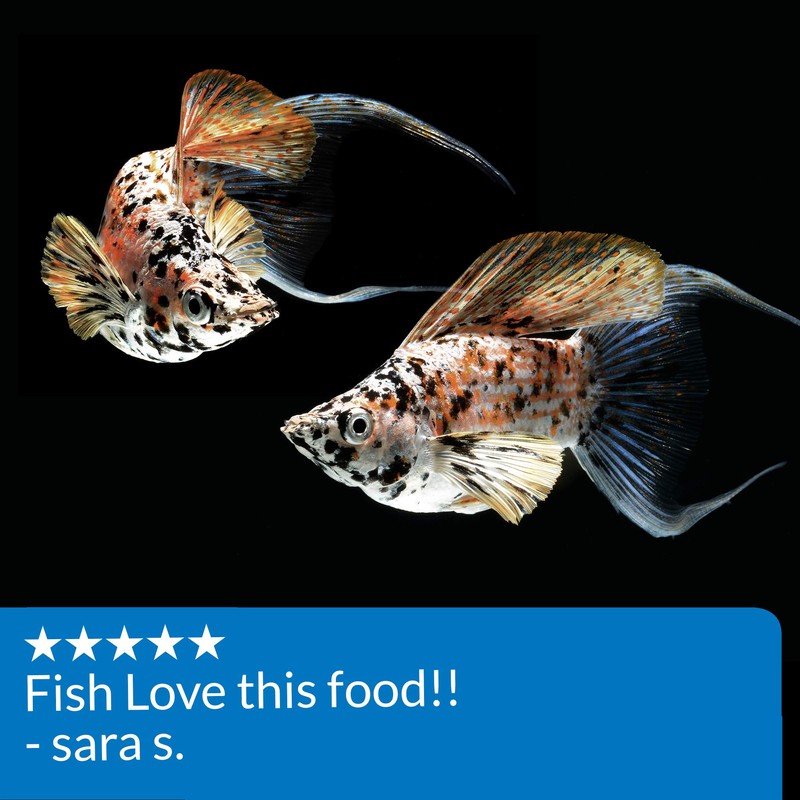 Flakes Fish Food .36-Ounce Container