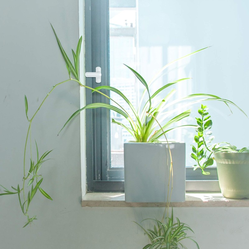 4 Pcs Window Jammer Locks, Sash Blocker Window Jammer, Door