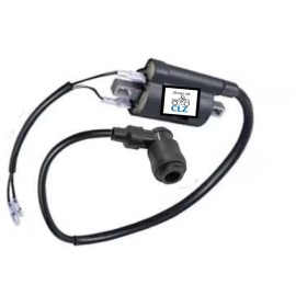 Unbranded 2X  Ignition Coil + Spark Plug for KAWASAKI Mule 3010 KAF620E 4x4 2001-2008